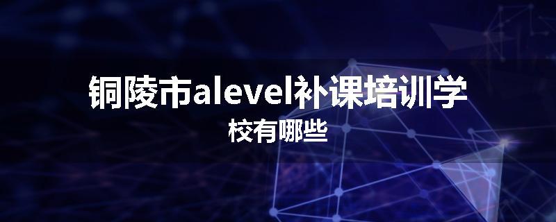 铜陵市alevel补课培训学校有哪些