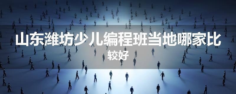 山东潍坊少儿编程班当地哪家比较好