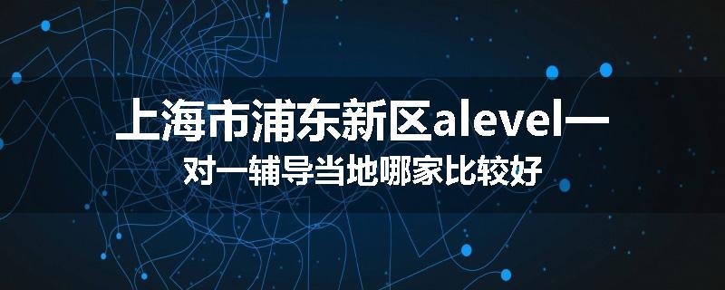 上海市浦东新区alevel一对一辅导当地哪家比较好