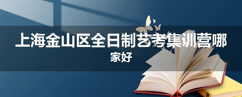 上海金山区全日制艺考集训营哪家好