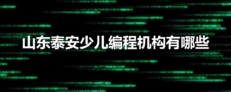 山东泰安少儿编程机构有哪些