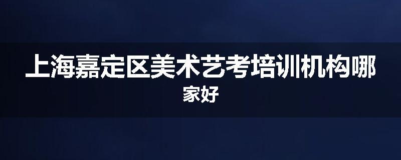 上海嘉定区美术艺考培训机构哪家好
