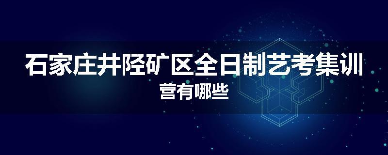 石家庄井陉矿区全日制艺考集训营有哪些