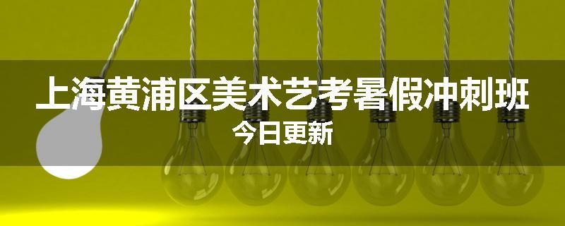 上海黄浦区美术艺考暑假冲刺班今日更新