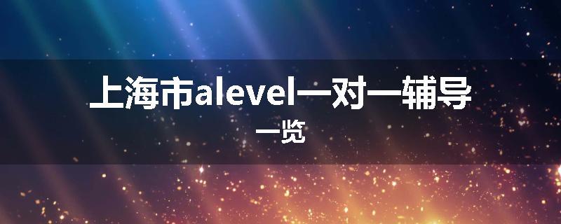 上海市alevel一对一辅导一览