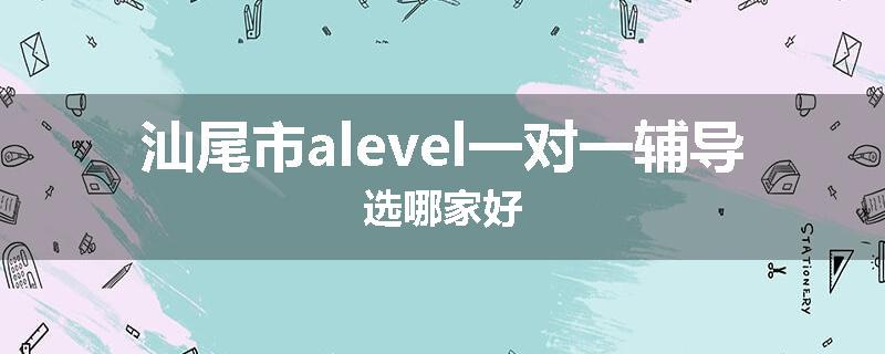 汕尾市alevel一对一辅导选哪家好