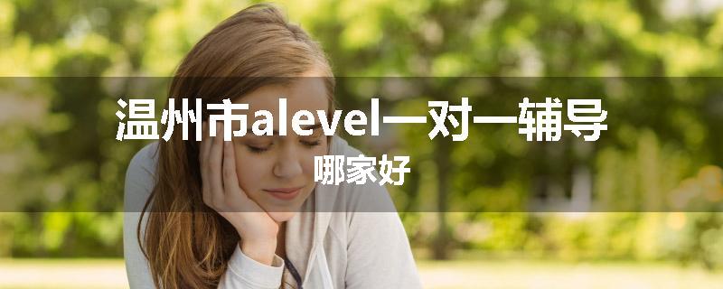 温州市alevel一对一辅导哪家好