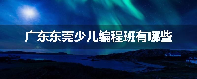 广东东莞少儿编程班有哪些