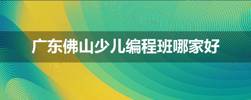 广东佛山少儿编程班哪家好