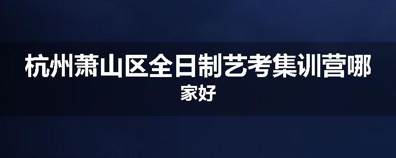 杭州萧山区全日制艺考集训营哪家好
