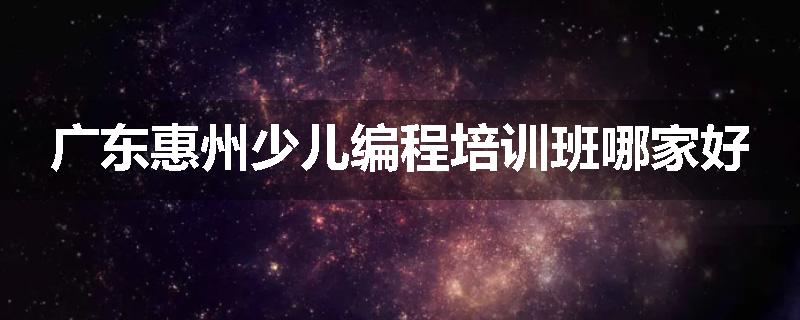 广东惠州少儿编程培训班哪家好