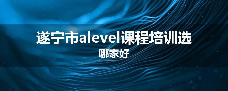 遂宁市alevel课程培训选哪家好