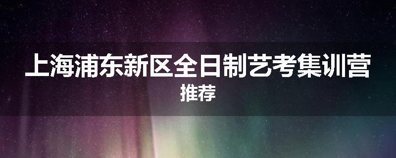 上海浦东新区全日制艺考集训营推荐
