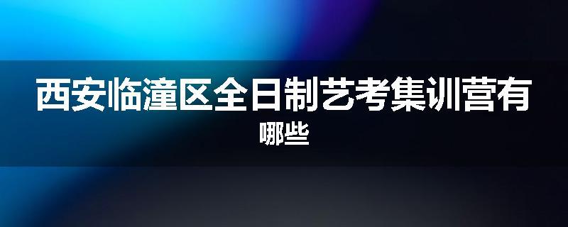 西安临潼区全日制艺考集训营有哪些