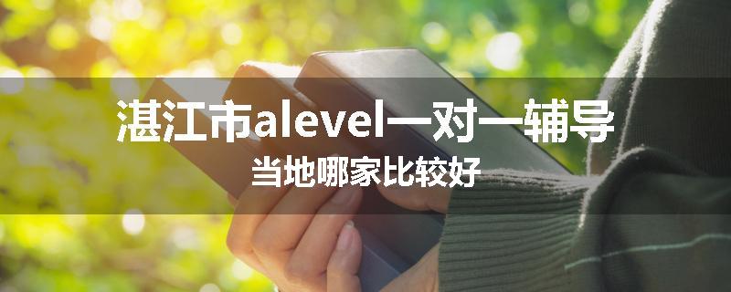 湛江市alevel一对一辅导当地哪家比较好