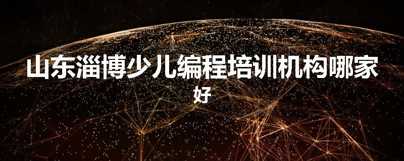 山东淄博少儿编程培训机构哪家好