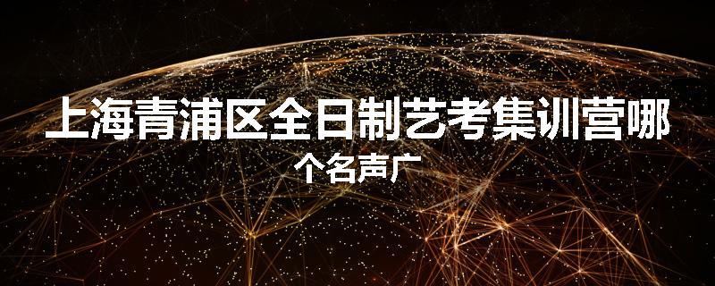 上海青浦区全日制艺考集训营哪个名声广
