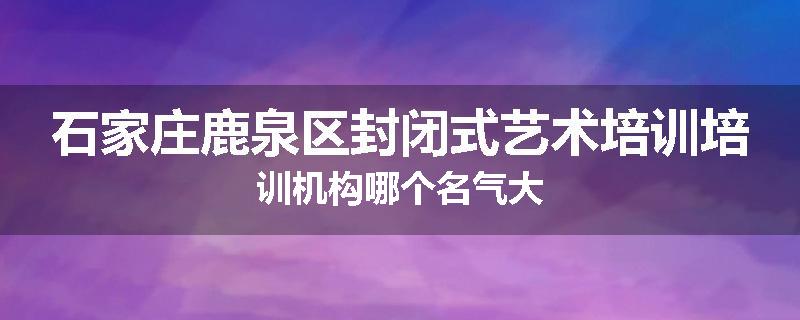 石家庄鹿泉区封闭式艺术培训培训机构哪个名气大