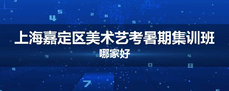 上海嘉定区美术艺考暑期集训班哪家好