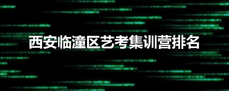 西安临潼区艺考集训营排名