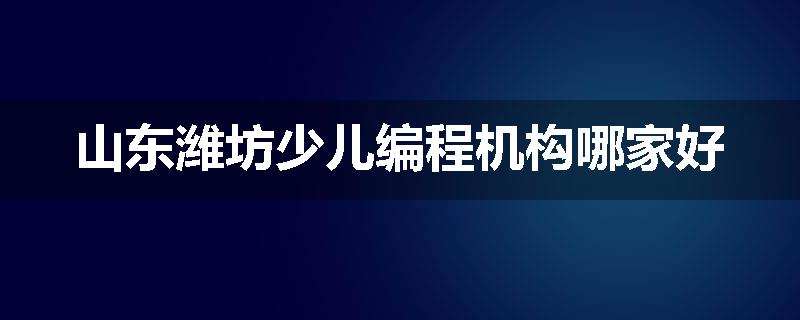 山东潍坊少儿编程机构哪家好