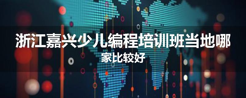 浙江嘉兴少儿编程培训班当地哪家比较好