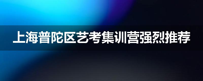 上海普陀区艺考集训营强烈推荐