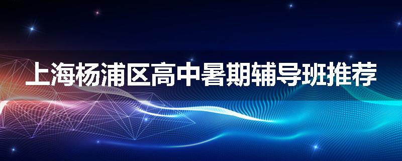 上海杨浦区高中暑期辅导班推荐