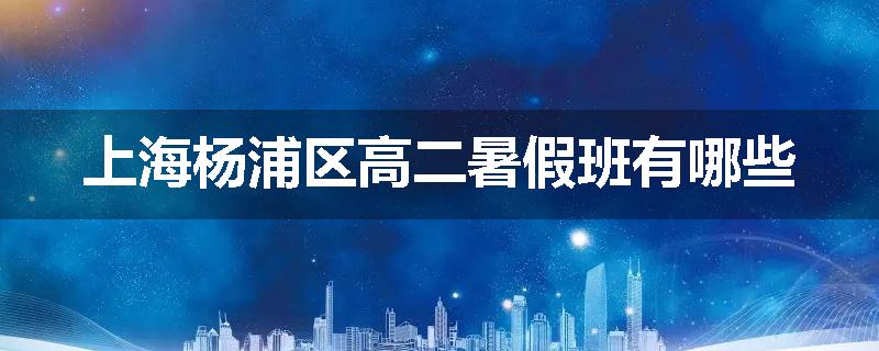 上海杨浦区高二暑假班有哪些