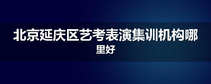 北京延庆区艺考表演集训机构哪里好