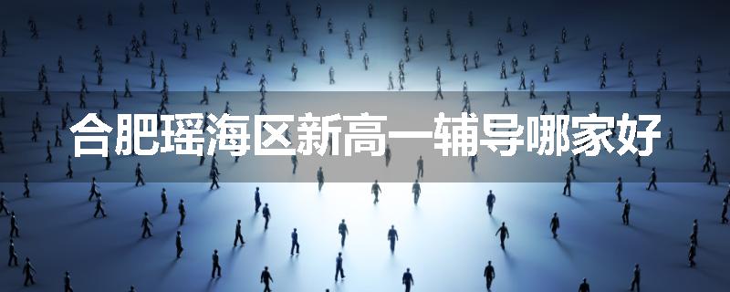 合肥瑶海区新高一辅导哪家好