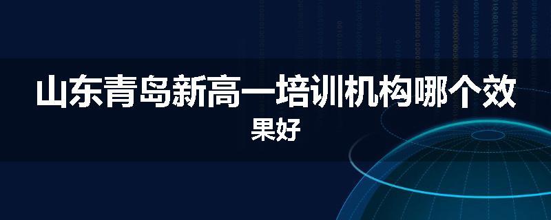 山东青岛新高一培训机构哪个效果好
