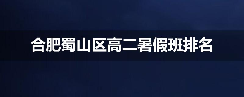 合肥蜀山区高二暑假班排名