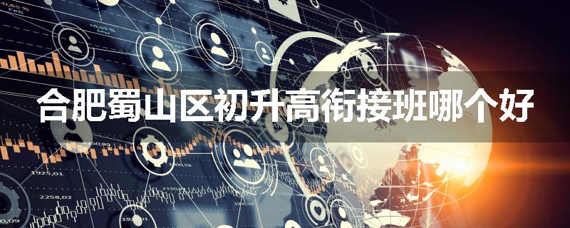 合肥蜀山区初升高衔接班哪个好