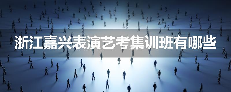 浙江嘉兴表演艺考集训班有哪些