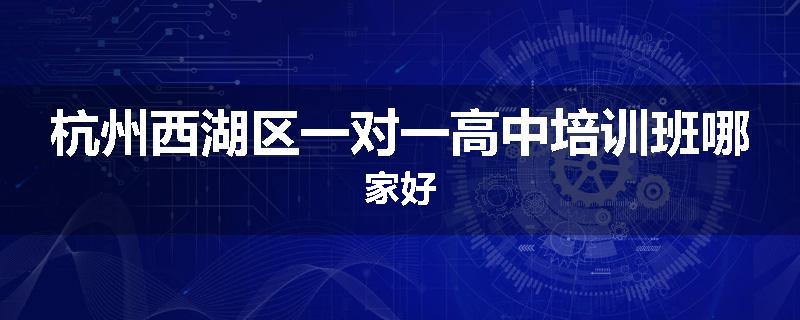 杭州西湖区一对一高中培训班哪家好