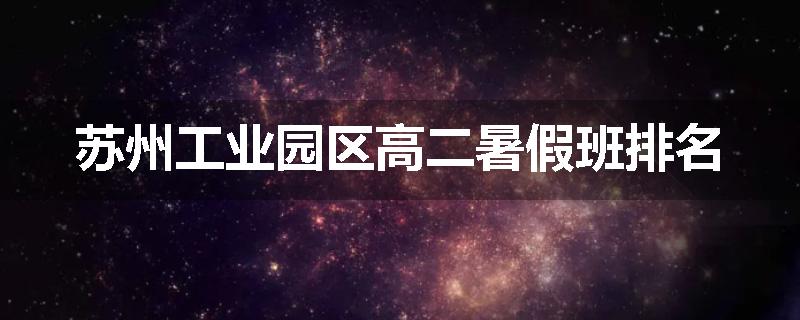 苏州工业园区高二暑假班排名