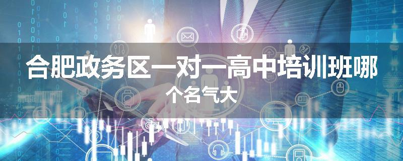 合肥政务区一对一高中培训班哪个名气大