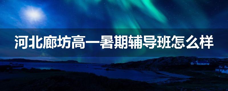 河北廊坊高一暑期辅导班怎么样