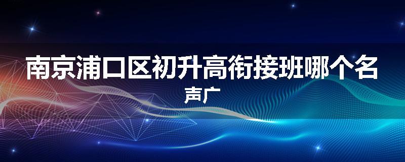 南京浦口区初升高衔接班哪个名声广