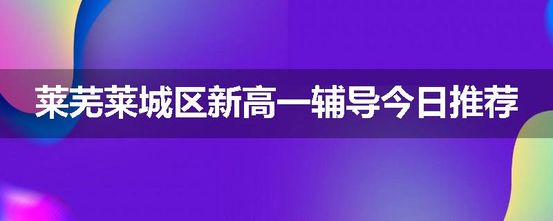 莱芜莱城区新高一辅导今日推荐