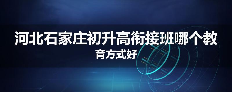 河北石家庄初升高衔接班哪个教育方式好