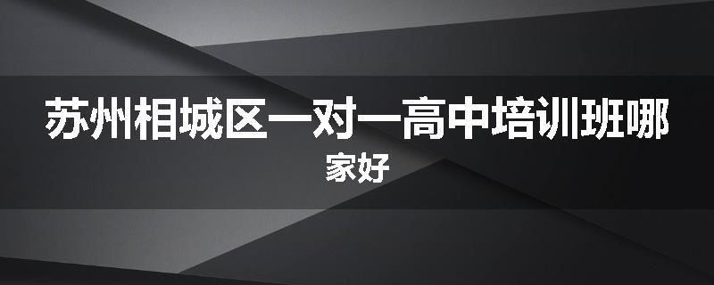苏州相城区一对一高中培训班哪家好