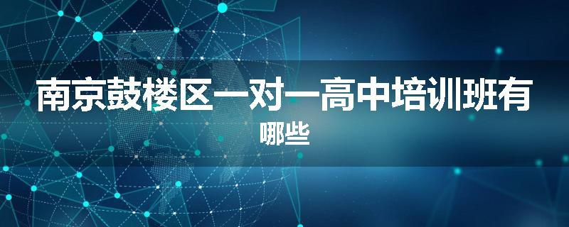 南京鼓楼区一对一高中培训班有哪些