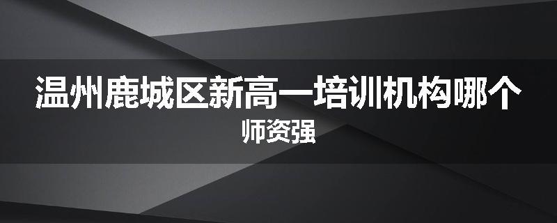 温州鹿城区新高一培训机构哪个师资强