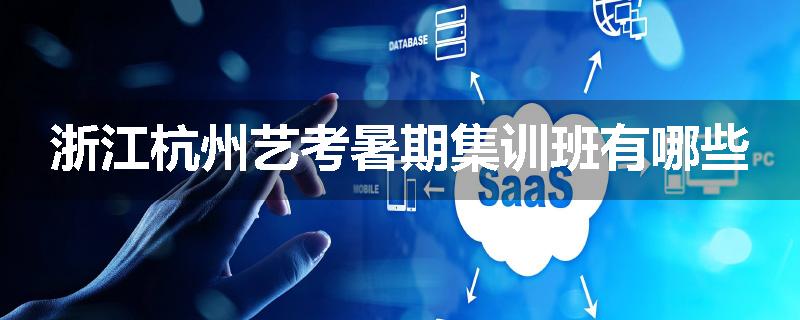 浙江杭州艺考暑期集训班有哪些