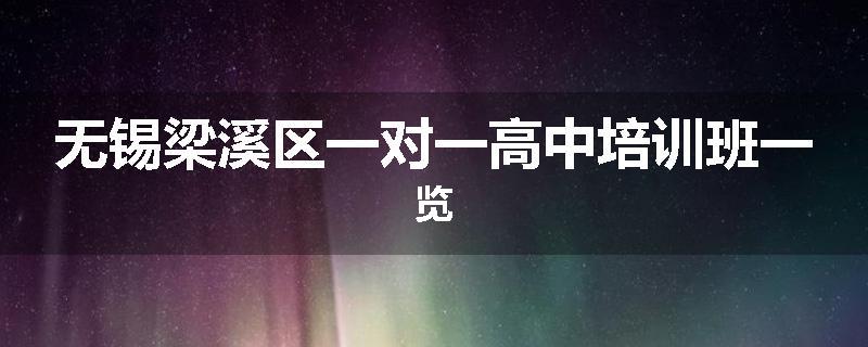 无锡梁溪区一对一高中培训班一览