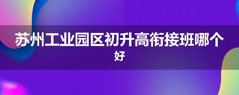 苏州工业园区初升高衔接班哪个好