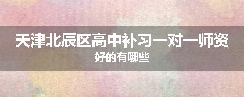 天津北辰区高中补习一对一师资好的有哪些