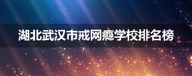 湖北武汉市戒网瘾学校排名榜